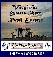Chesapeake Bay Waterfront Real Estate