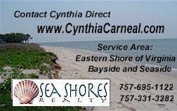 Cynthia Carneal Realtor with Seashores Realty, Cape Charles and surrounding Northampton County
